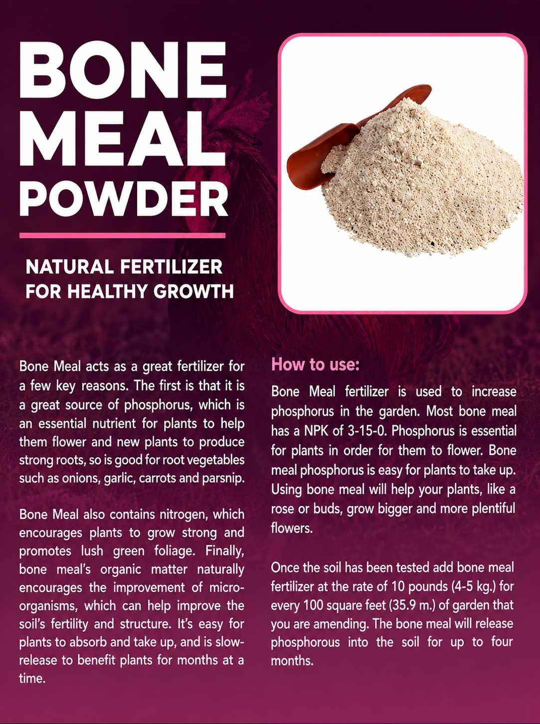 Bone Meal Powder